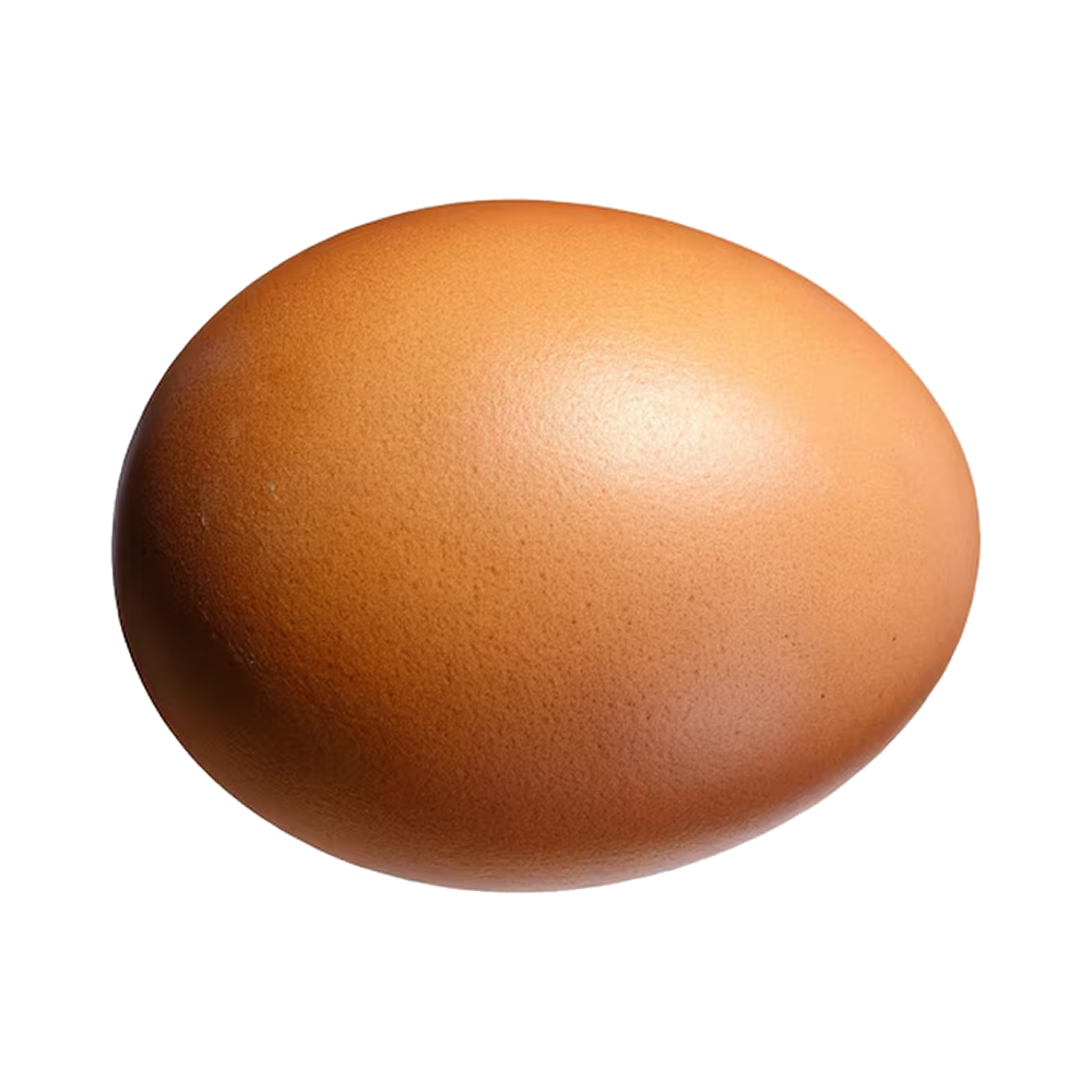 Premium Gavran Egg