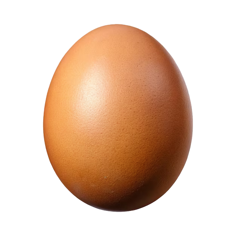 Gavran Murge Egg